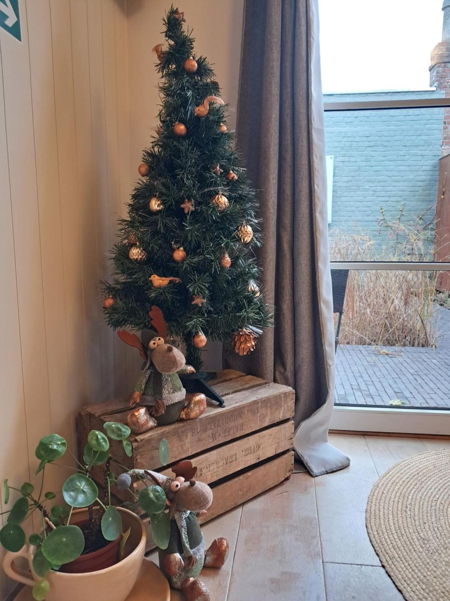 Home Away Blankenberge Esterno foto